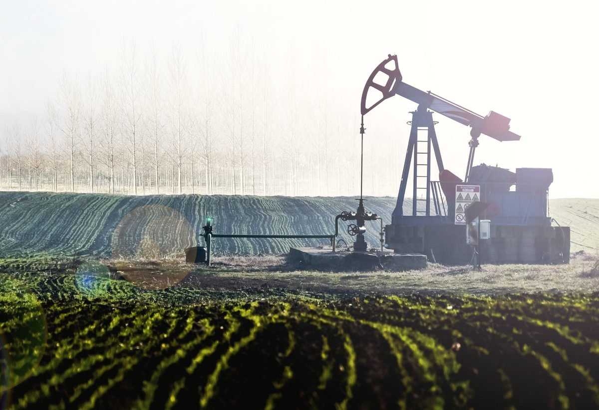 A pumpjack and wellhead at the edge of a planted field, with a row of bare trees in morning mist behind.